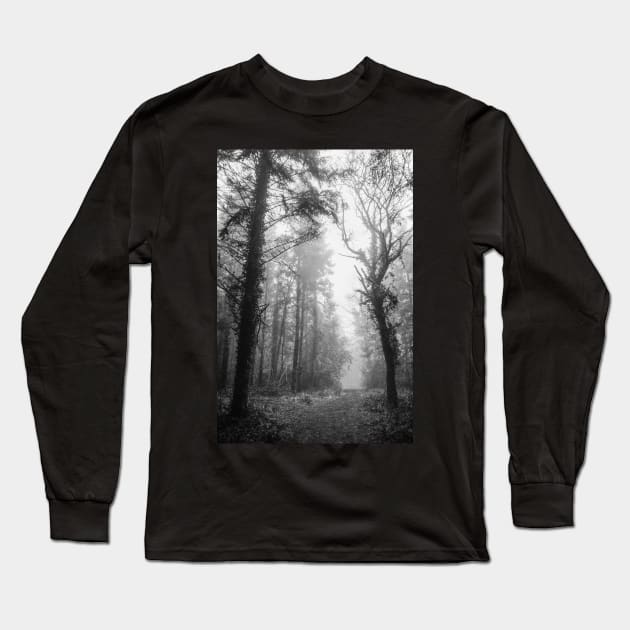 A way through a foggy wood Long Sleeve T-Shirt by heidiannemorris